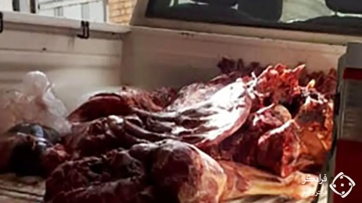 300 کیلو گوشت قرمز بدون تاریخ و فاسد شده در لردگان + عکس