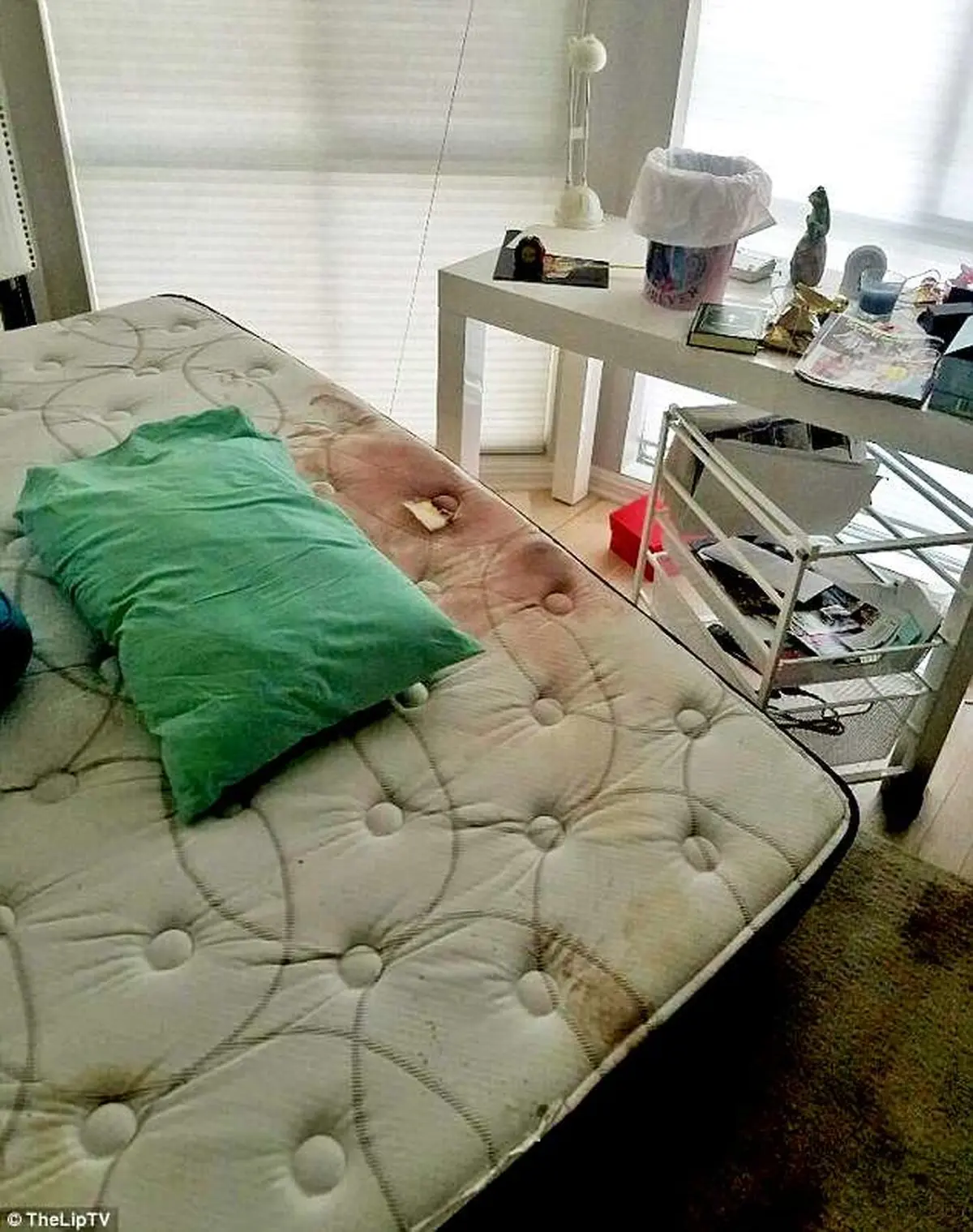 قتل وحشیانه یک زن جوان چند روز پس از زایمان / بچه برای من نبود! + عکس صحنه جرم