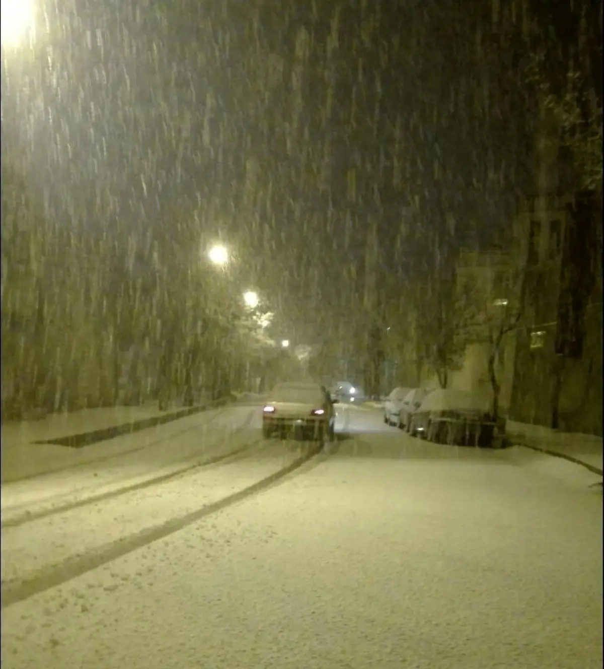 عکس/بارش برف در کوزران کرمانشاه