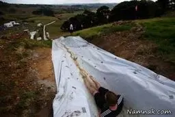 طولانی ترین سرسره دنیا / عکس!