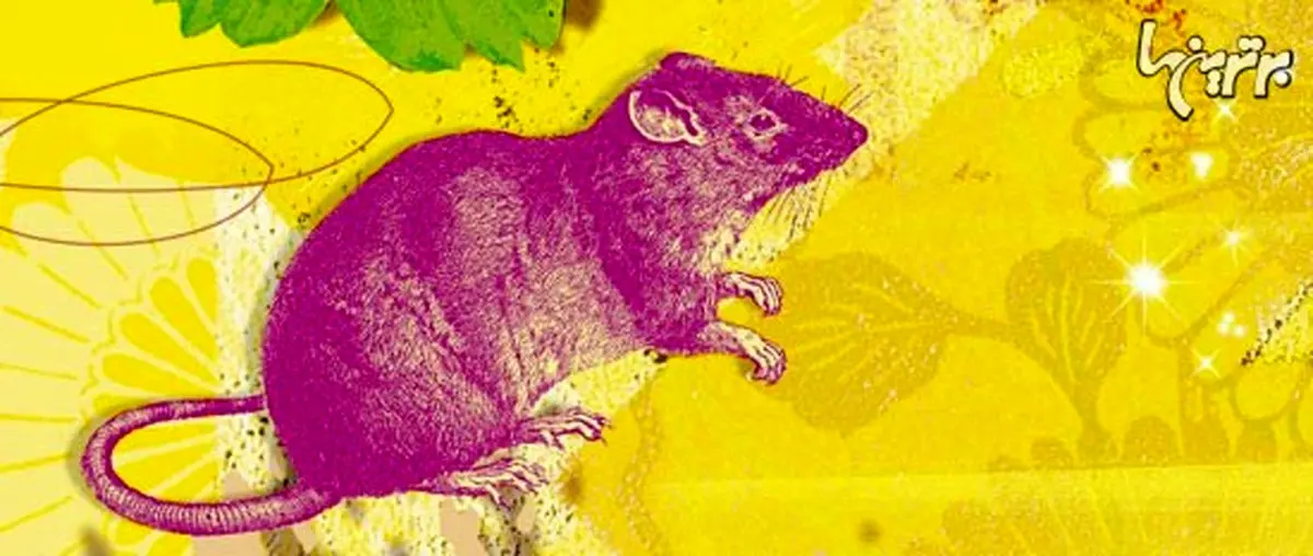 طالع بینی: سال بز برای شما چه جوریه؟