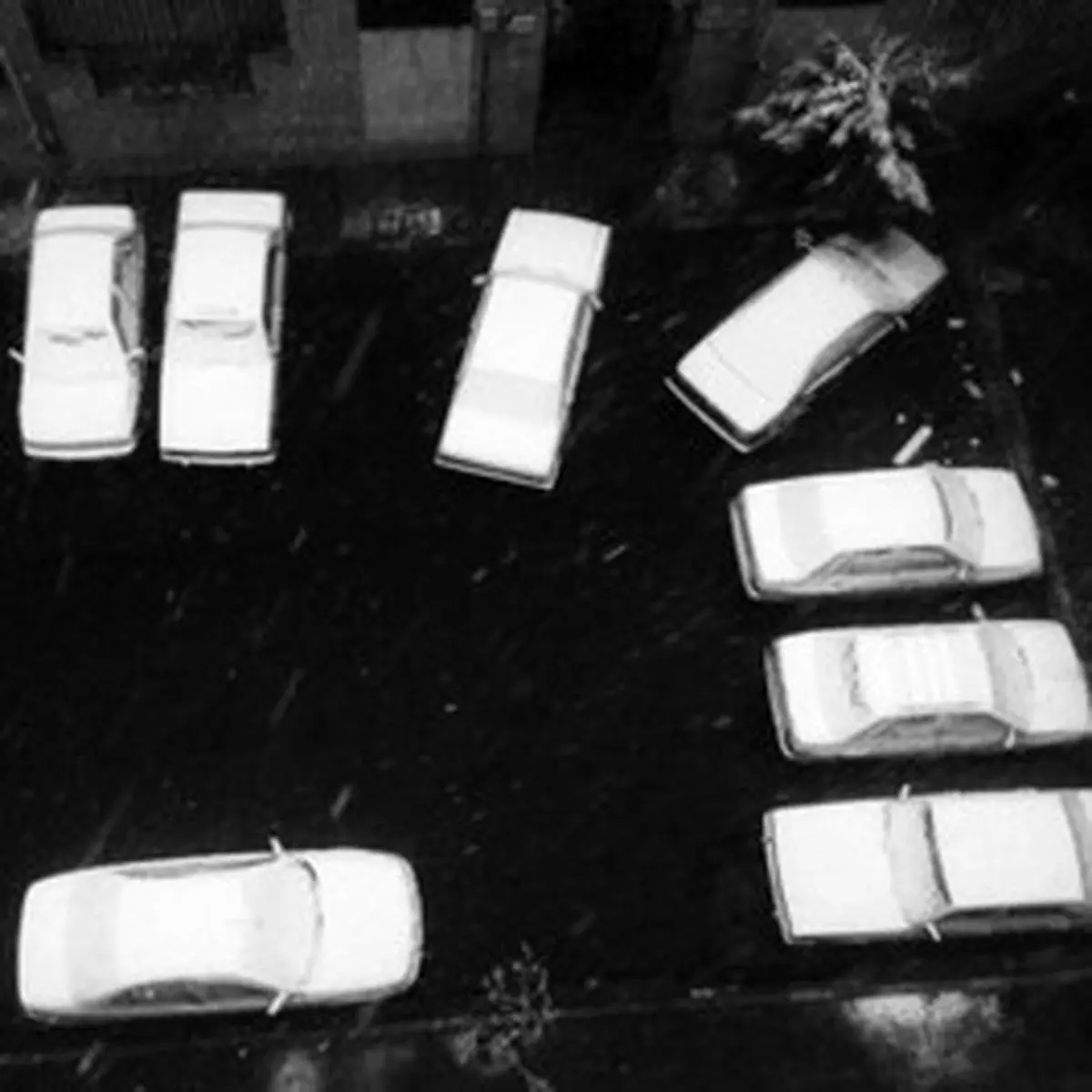 برف بهاری/ تصاویر