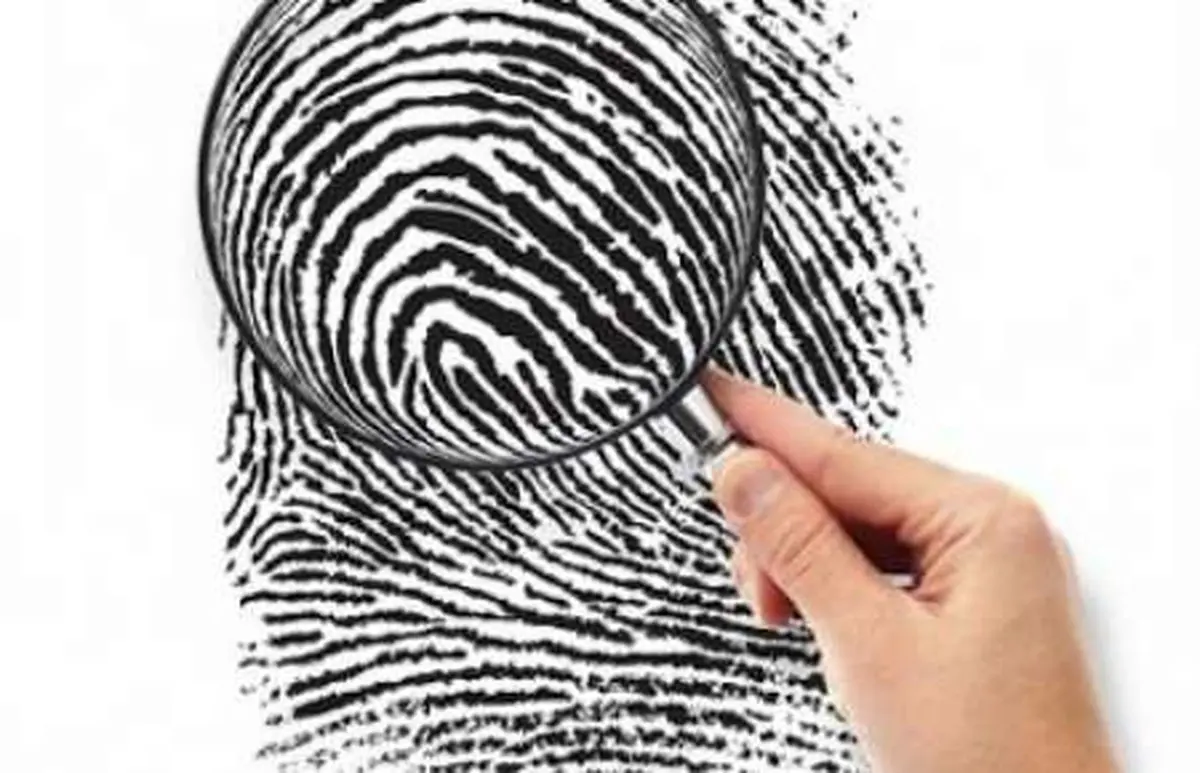 راز اثر انگشت انسان‌ها چیست؟