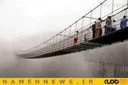 شما جرات رد شدن از این پل را دارید؟+تصاویر