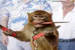 عکس بامزه ای که رویترز منتشر کرد