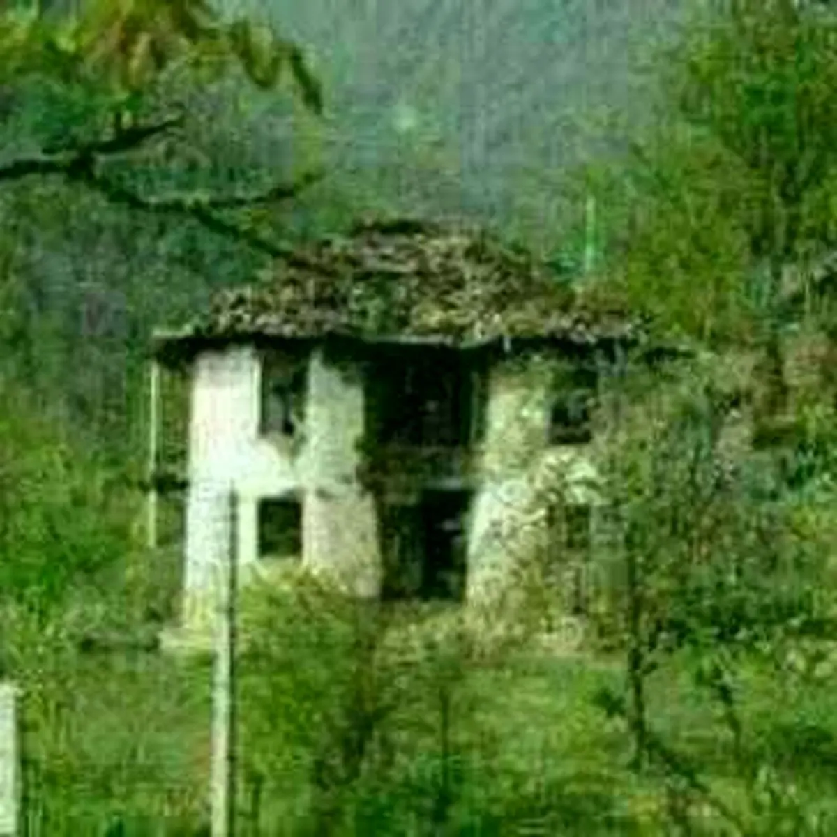 کلبه وحشت هالیوودی در دل انزلی / تصاویر