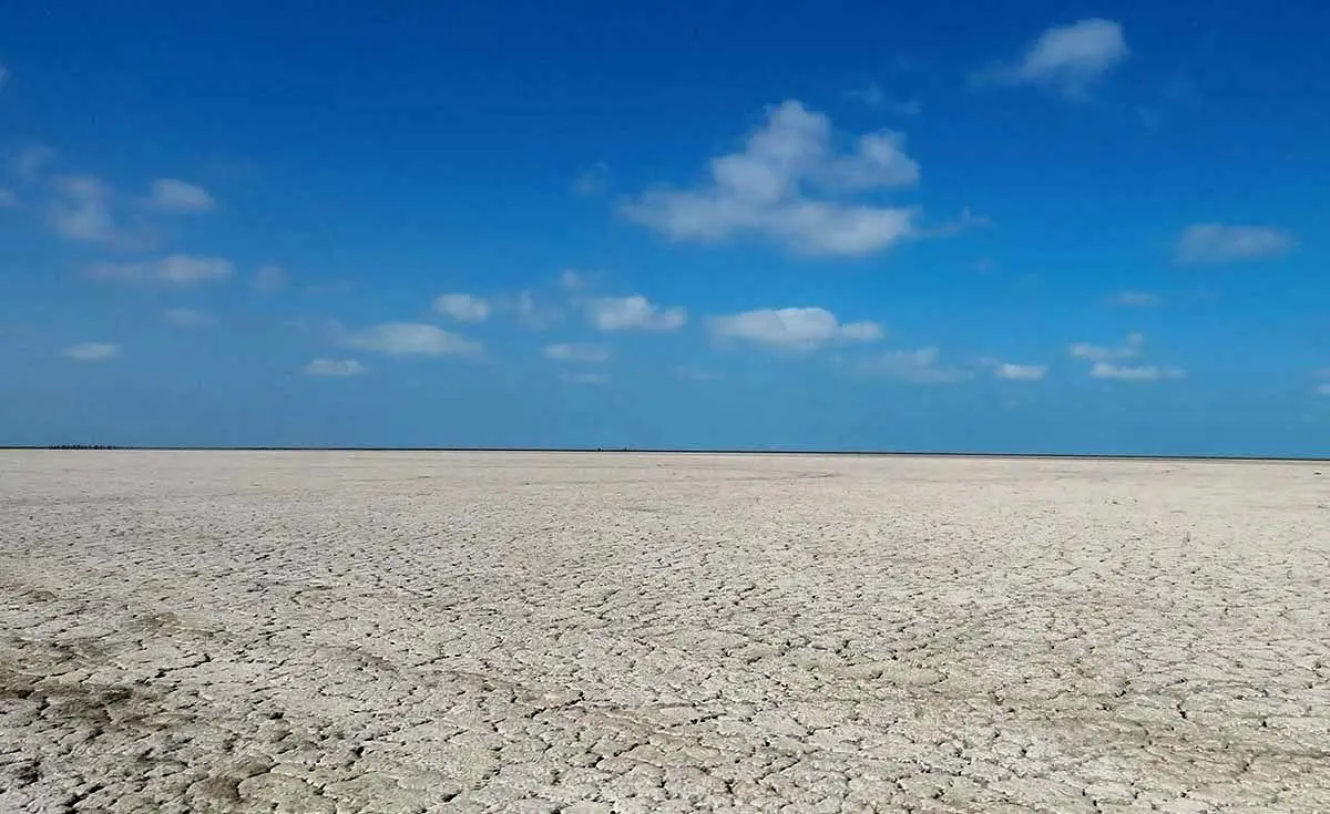 تصاویر | اینجا تالاب بین‌‌المللی گمیشان بود!