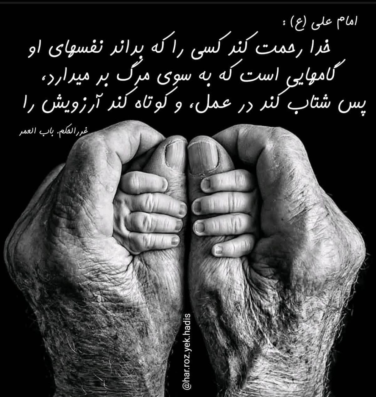 حدیث نورانی امیرالمؤمنیـــن در مورد نفس