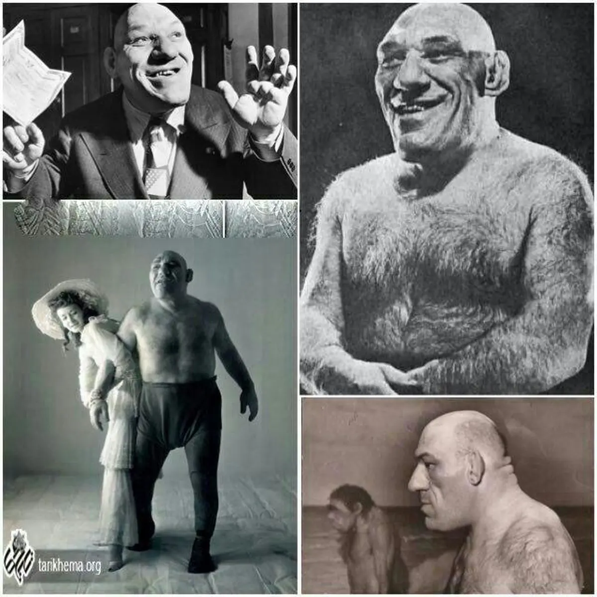 تصویری از شخصیت واقعی "شرک"