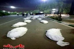 عکس:ابتکار عجیب شهرداری تهران برای بزرگداشت شهدای فاجعه منا!