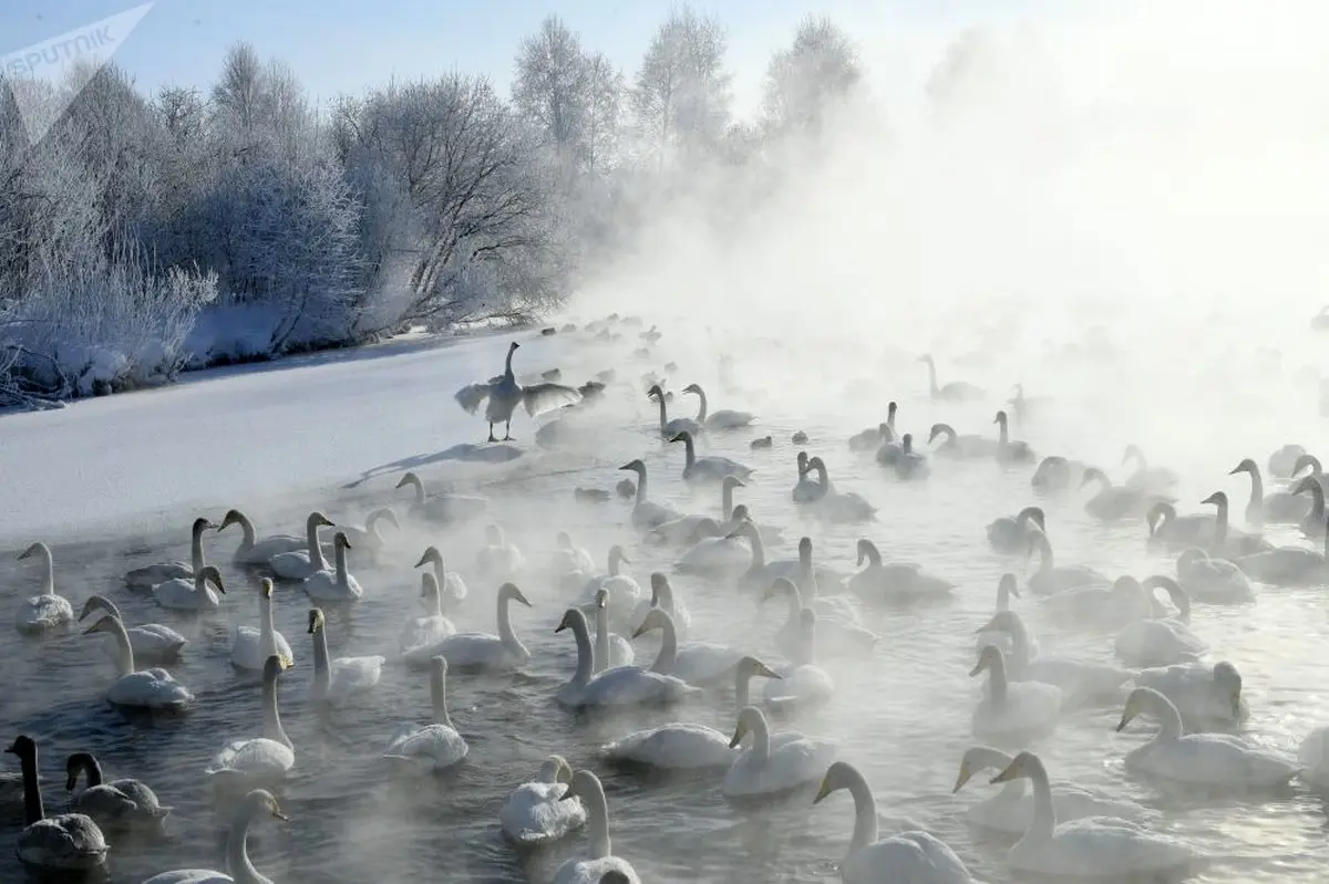 عکسی جذاب و زیبا از حال و هوای روسیه