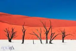 عکس روز نشنال جئوگرافیک از دریاچه مرده نامیبیا