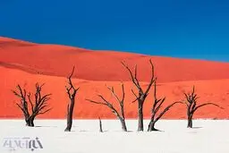 عکس روز نشنال جئوگرافیک از دریاچه مرده نامیبیا