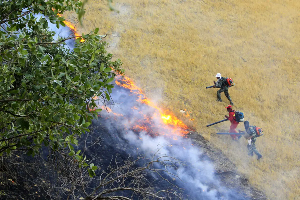 آتش دوباره به جان زاگرس افتاد + عکس