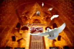 طرح: شهادت امام رضا (ع) / تصاویر