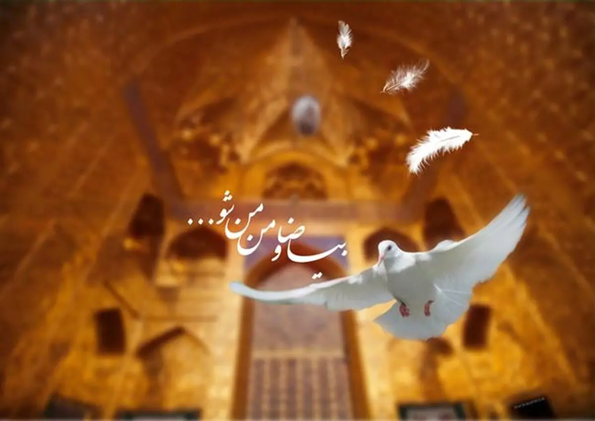 طرح: شهادت امام رضا (ع) / تصاویر