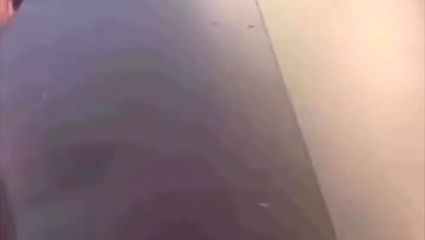 رفتار عجیب مریدان ذاتا نوکر رضا پهلوی را ببینید