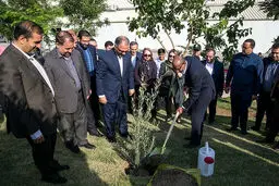 تصاویر/ کاشت درخت به‌مناسبت صدو پنجاهمین سالگرد تولد گاندی