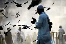 حال و هوای زائران خانه خدا/تصاویر