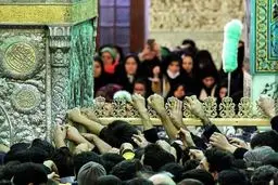 تصویر روز : ای‌ که هوای منی ...