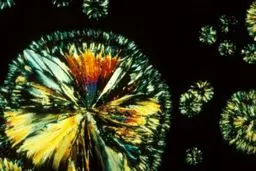 ویتامین‌ها را در زیر میکروسکوپ ببینید + عکس