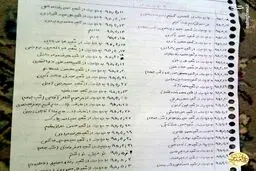 زیارت عاشورا، نردبان شهادت است / عکس