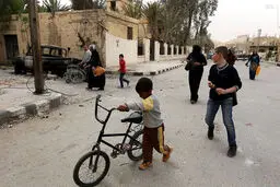 بازگشت زندگی به تدمر/ تصاویر