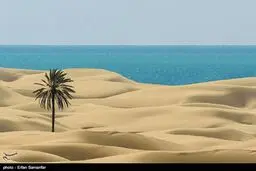 تصاویری زیبا از ساحلی رویایی در جنوب ایران /برخورد صحرا و دریا