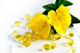 از خواص شگفت انگیز روغن گل مغرب غافل نشوید
