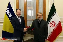 دیدار رئیس مجلس بوسنی و هرزگوین با لاریجانی/عکس