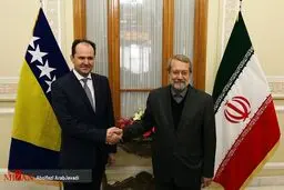 دیدار رئیس مجلس بوسنی و هرزگوین با لاریجانی/عکس