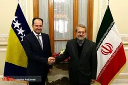 دیدار رئیس مجلس بوسنی و هرزگوین با لاریجانی/عکس