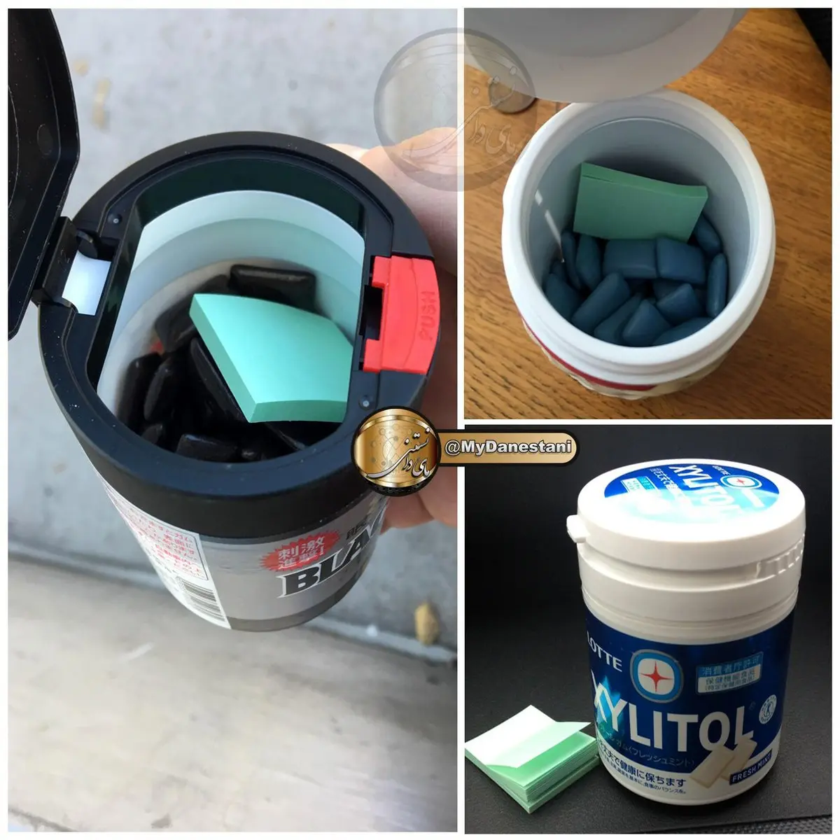 اقدامی جالب در قوطی آدامس / عکس