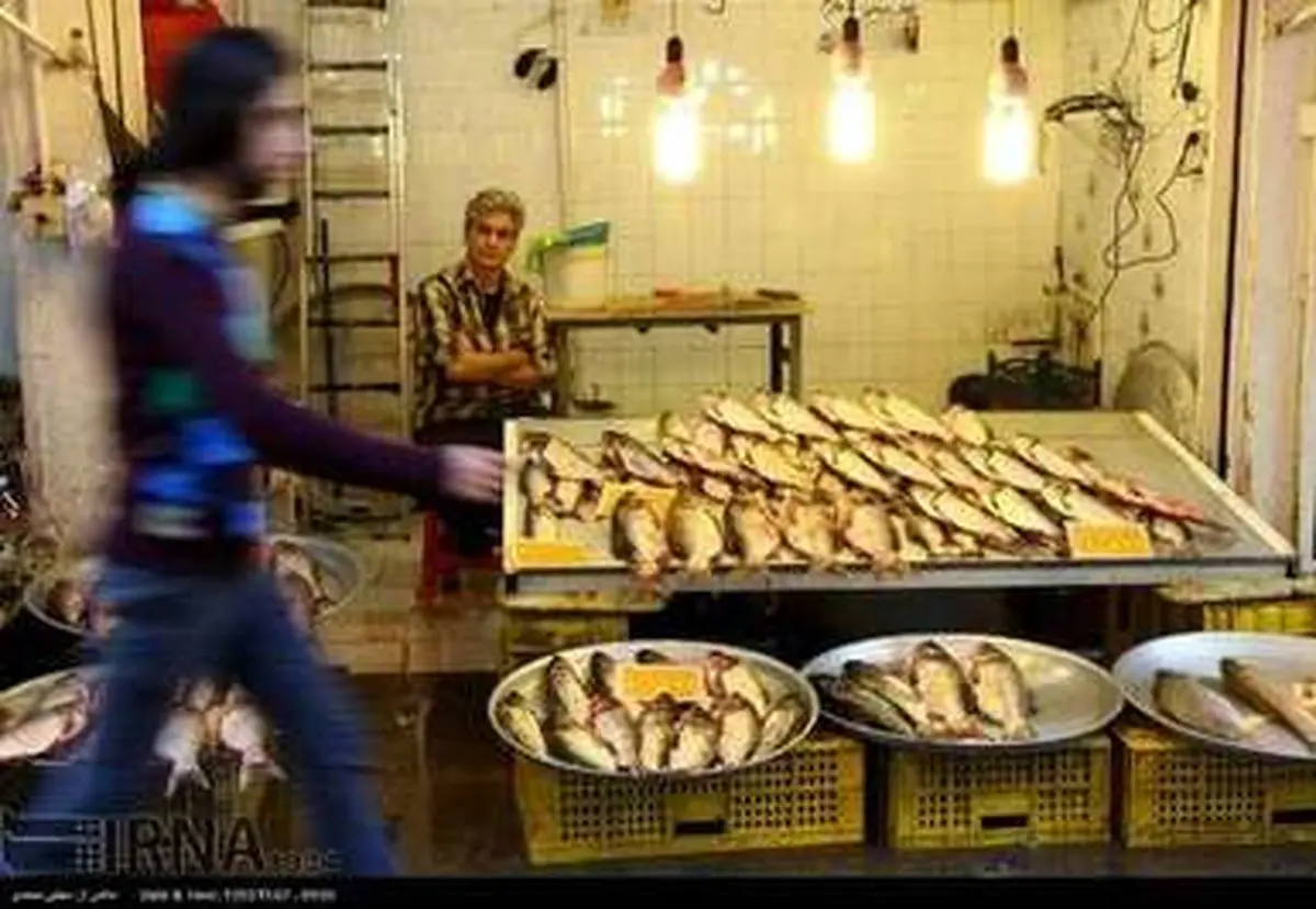 روایتی تصویری از بازار ماهی فروشان رشت