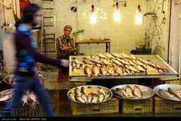 روایتی تصویری از بازار ماهی فروشان رشت