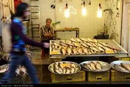 روایتی تصویری از بازار ماهی فروشان رشت