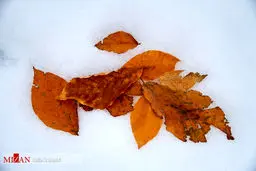 تصاویر زیبای پاییزی از جاده اسالم به خلخال