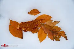 تصاویر زیبای پاییزی از جاده اسالم به خلخال