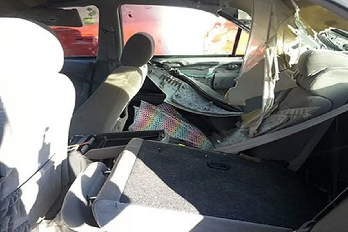 سقوط خرس بر روی خودروی سواری