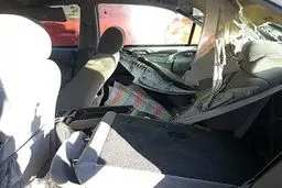 سقوط خرس بر روی خودروی سواری