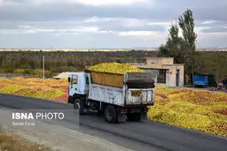 دپوی انبوه سیب‌ در حاشیه جاده ارومیه/تصاویر