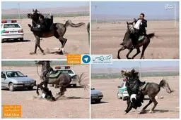 عکس/ سقوط نماینده مجلس از روی اسب!