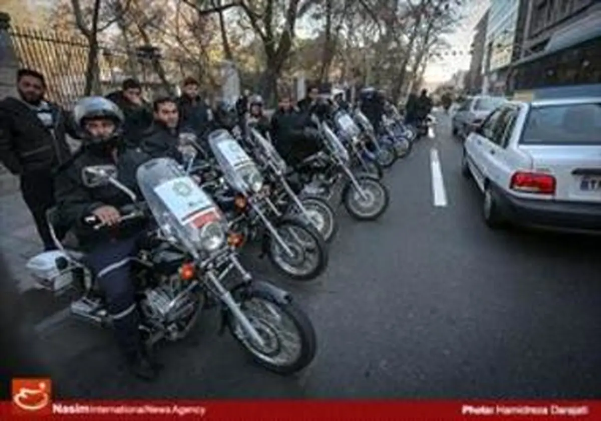 حمله ضربتی به موش های شهر/ تصاویر