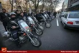 حمله ضربتی به موش های شهر/ تصاویر