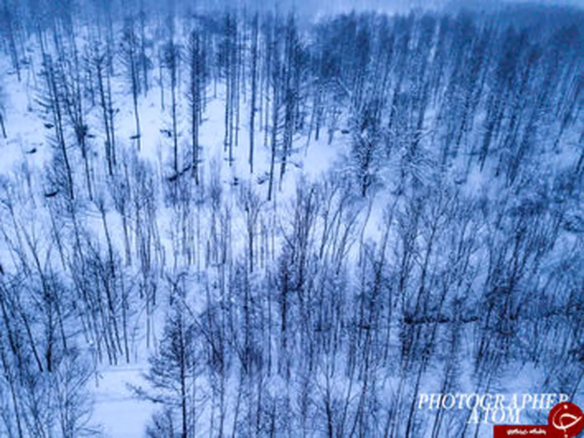 مناظری بی‌نظیر از بارش برف در ژاپن /تصاویر