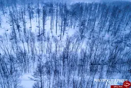 مناظری بی‌نظیر از بارش برف در ژاپن /تصاویر