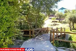 کوتاه ترین پل دنیا کجاست؟ /عکس