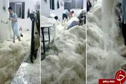 حواستان باشد به هيچ عنوان نودل نخوريد!