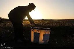  تصویر فوق العاده از انتخابات ۱۴۰۰