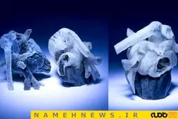 کاهش خطر جراحی قلب با کمک چاپ 3 بعدی+عکس